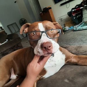 Meet your Posher, Chip